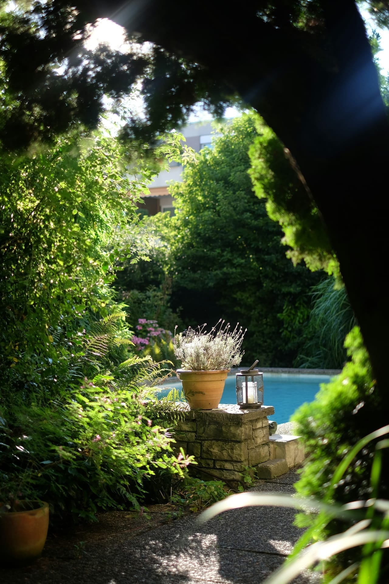 Poolanlage mit Sichtschutzhecke — Brühl