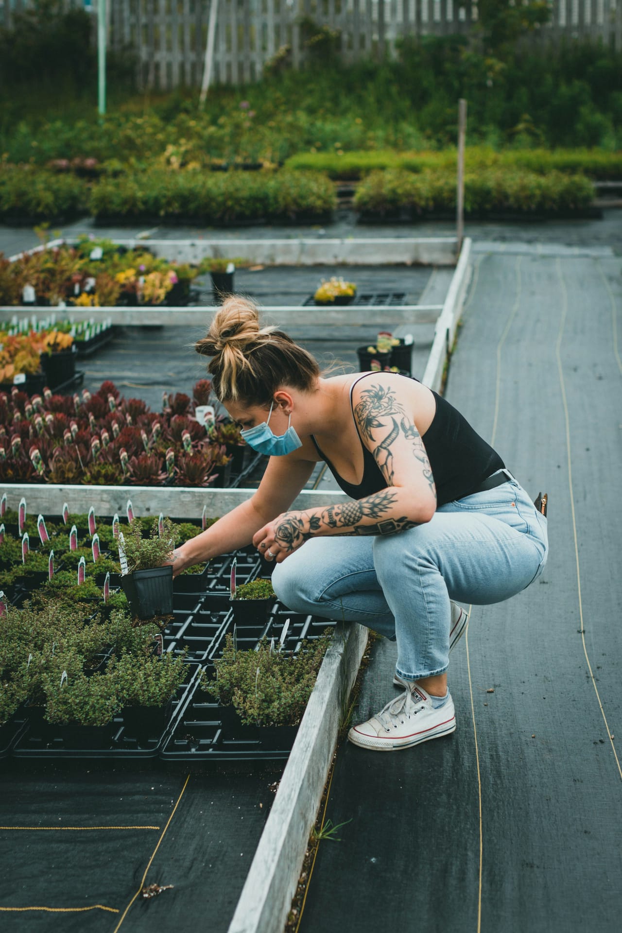 Sarah Behrendt — Pflanzplanung · Staudenbeete